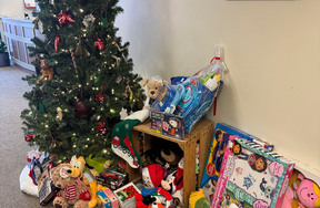 08 festival-of-tree-1-web