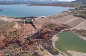 03-csbrc-higgins-project-321